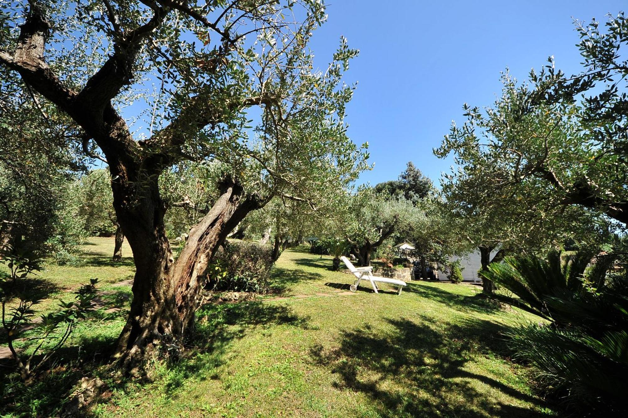 B&B Casa Di Gio Luxury Resort Lanuvio Exterior photo